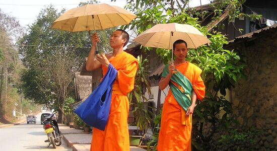 Muang Xay Buddhist Monks